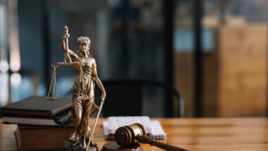Examination of Chargesheet by the Magistrate