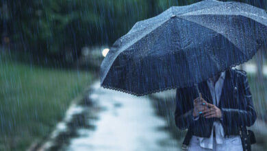 Monsoon active in northern India June 2025