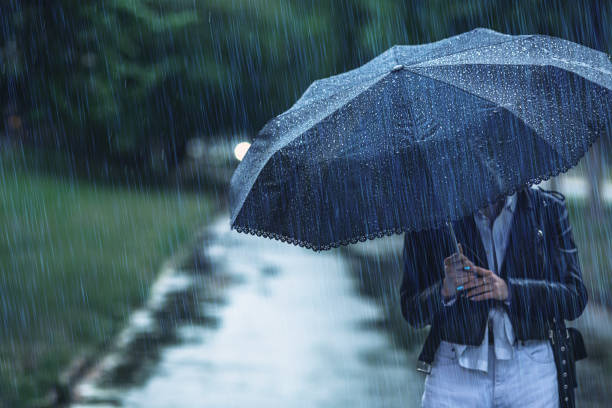 Monsoon active in northern India June 2025