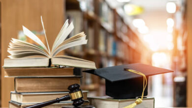mp colleges new session start date 2025