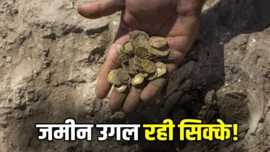 gold and silver treasure discovery