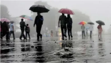 MP वाले तैयारी हो जाये! अगले 4 दिनों में जमकर होगी बारिश, जिलों में अलर्ट|