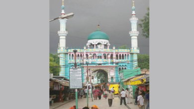 राजस्थान की दरगाह में धूम-धाम से मनाई गयी जन्माष्टमी, हुए भजन कीर्तन! 