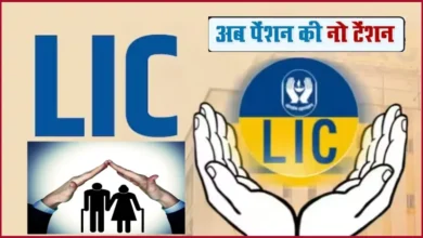 LIC pension plans