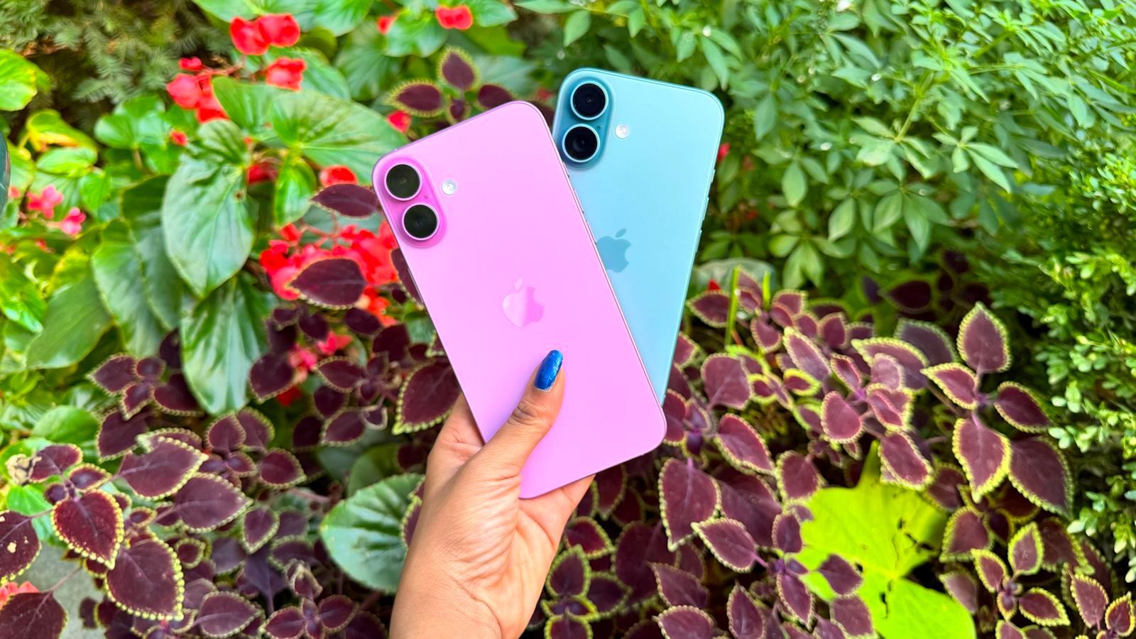 iPhone 16 with discount