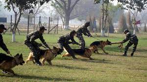 BSF jawans forced