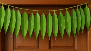 Benefits of hanging mango leaf toran at home entrance